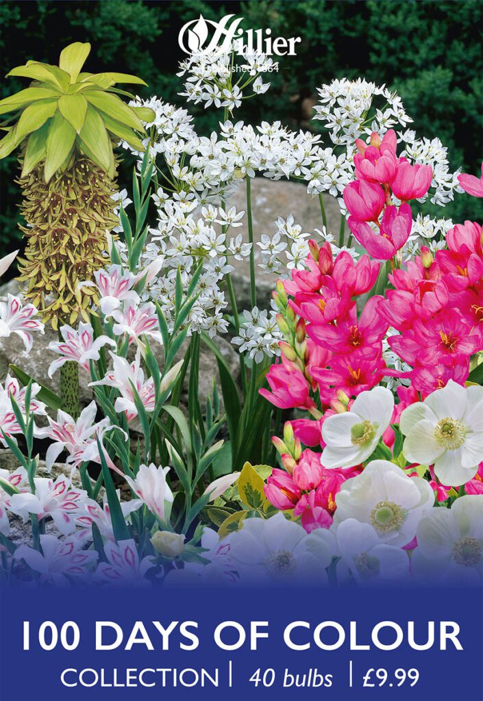 100 Days Of Colour Bulb Collection 8718641997529 2